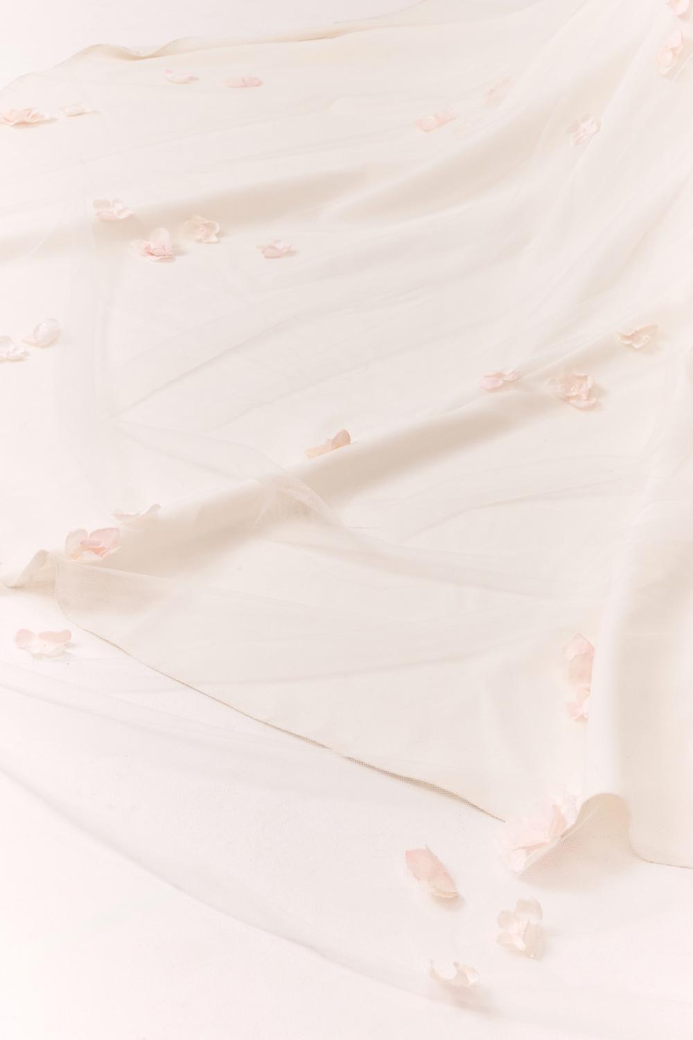 Joy Veil, Women, Blush