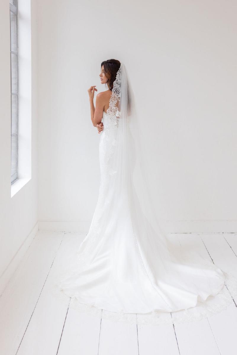 Veil collection 2026